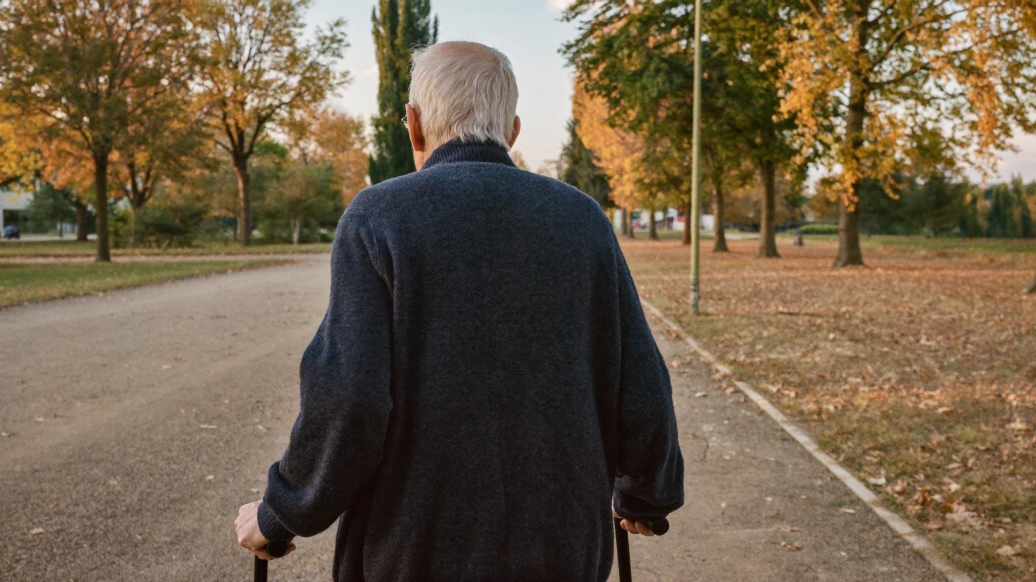 Schwerbehindertenausweis bei Pflegegrad 1: was Angehörige wissen sollten